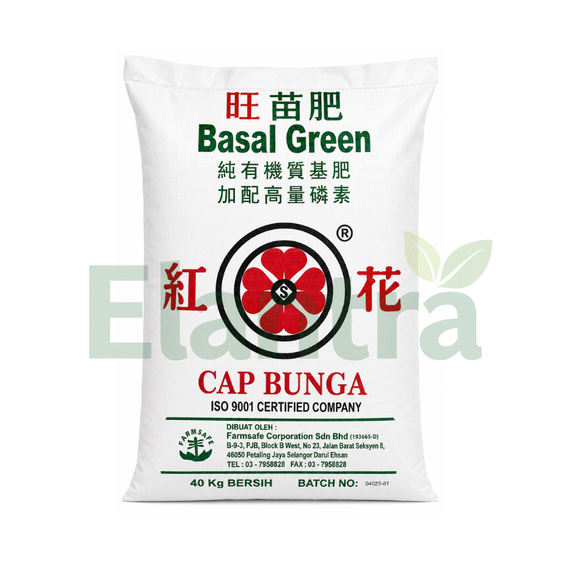 BASAL GREEN